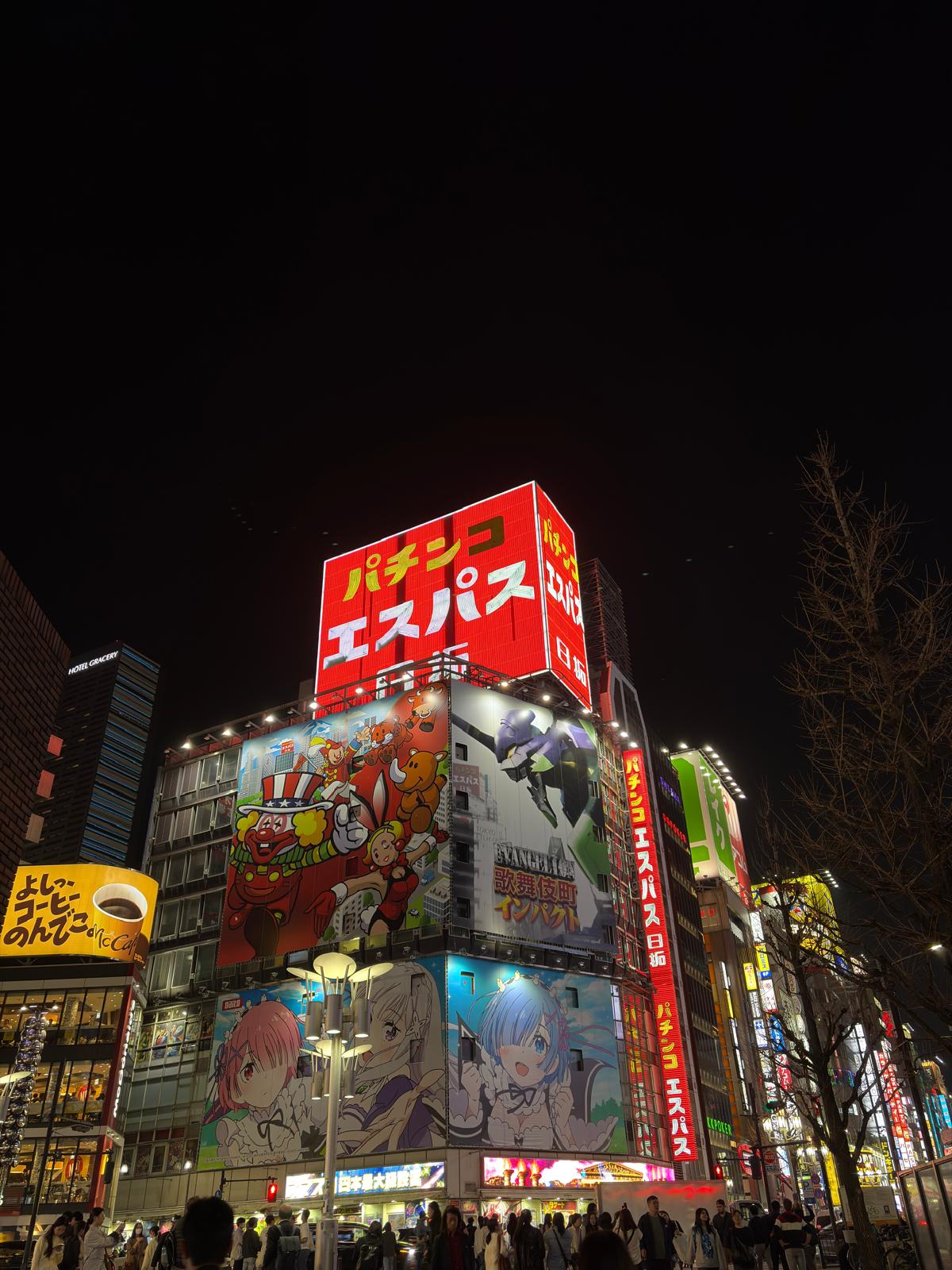 Vicoli di Akihabara