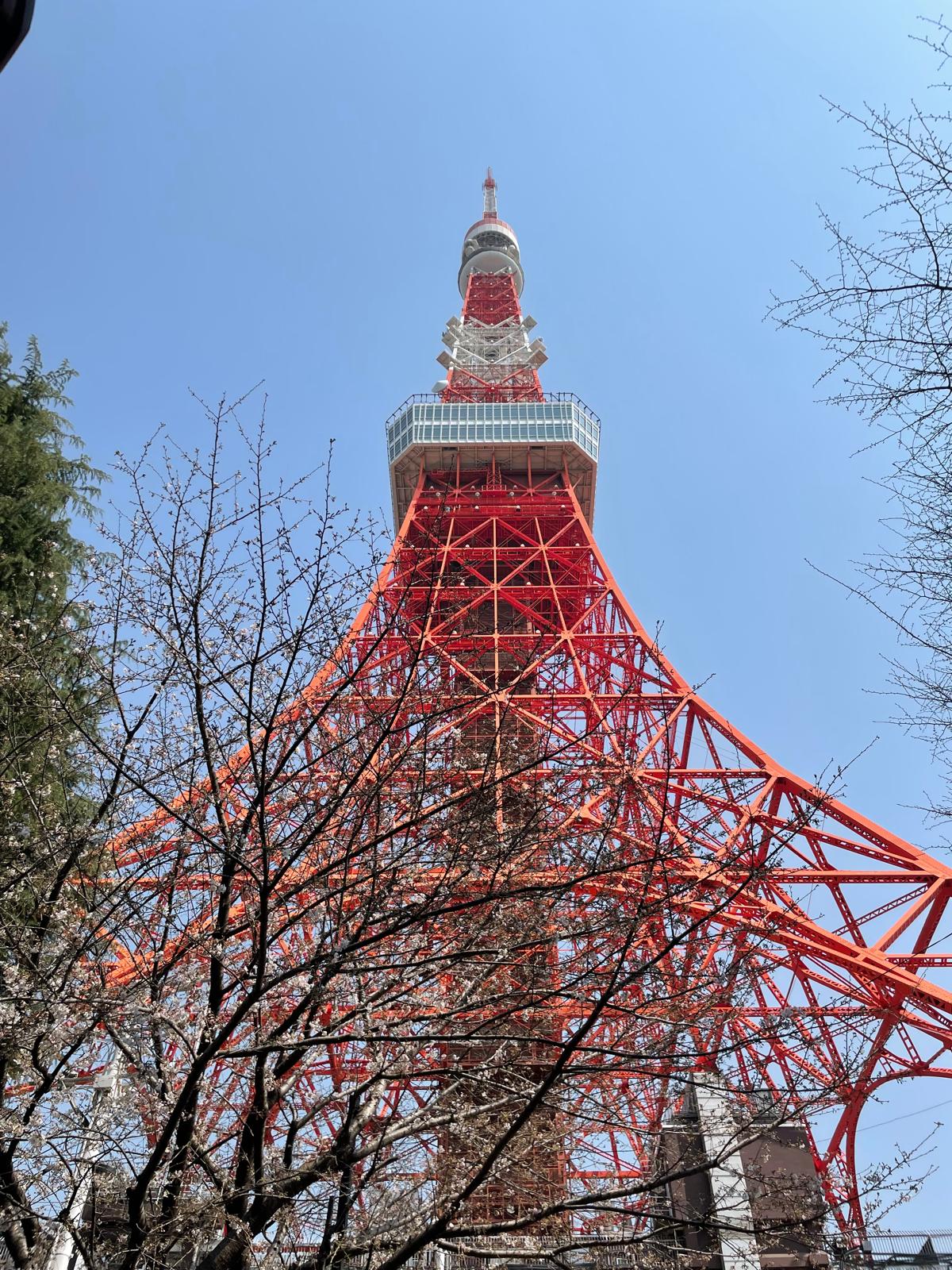 Vista dal Tokyo Skytree