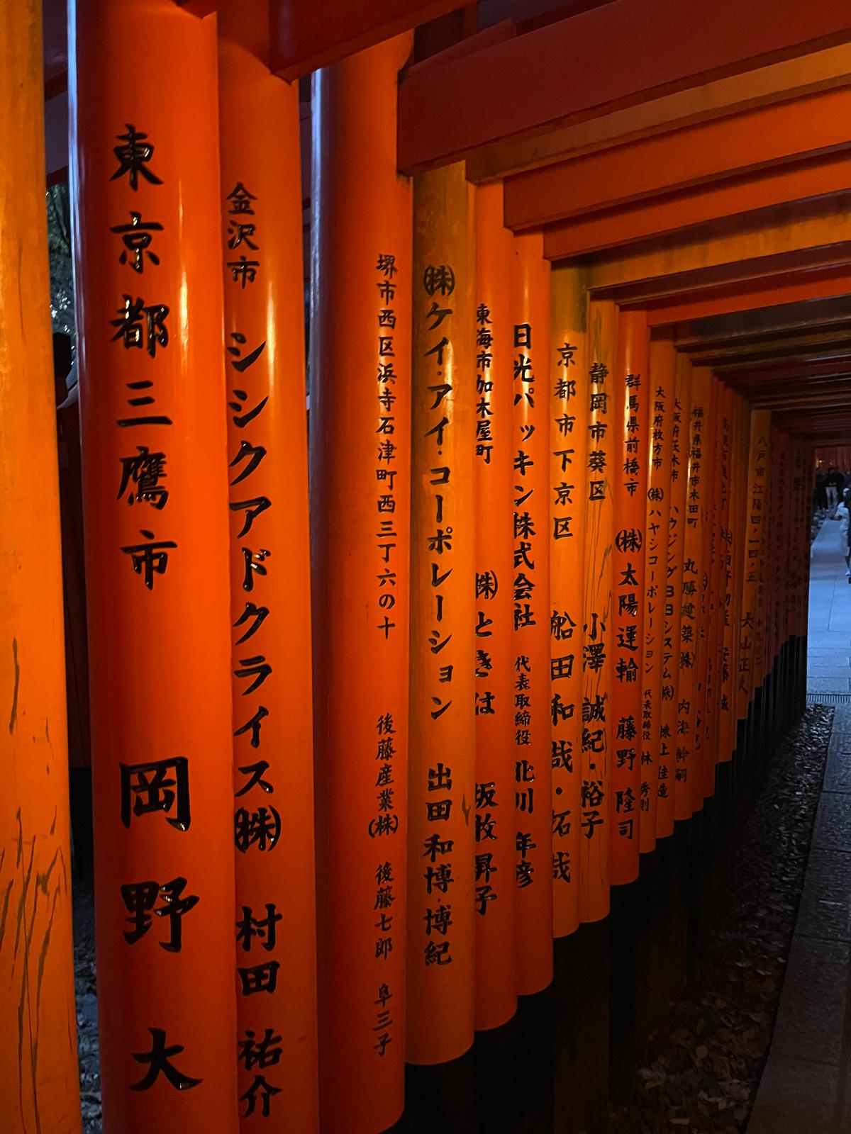 Sentiero di torii al Fushimi Inari
